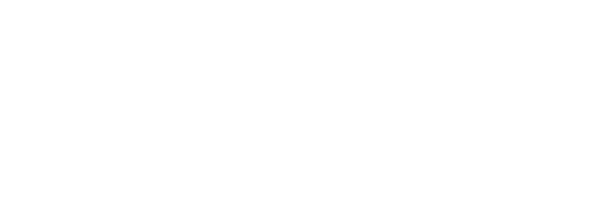Bongo Wiki